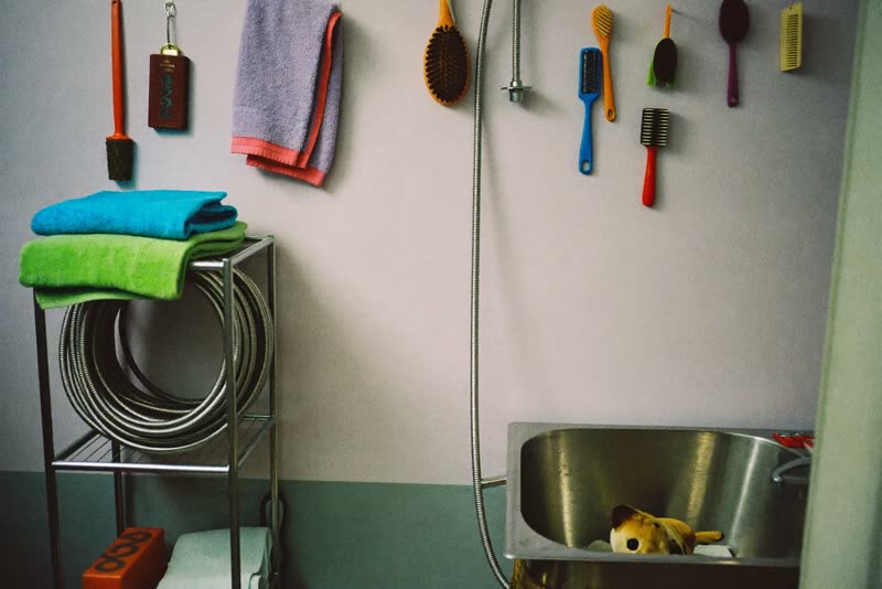 A corner of a small grooming room with a stainless bath, towels and brushes
